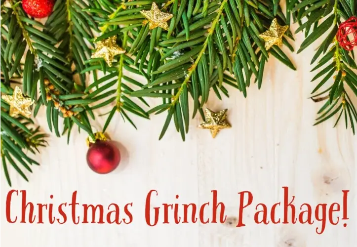 New Christmas Grinch Package
